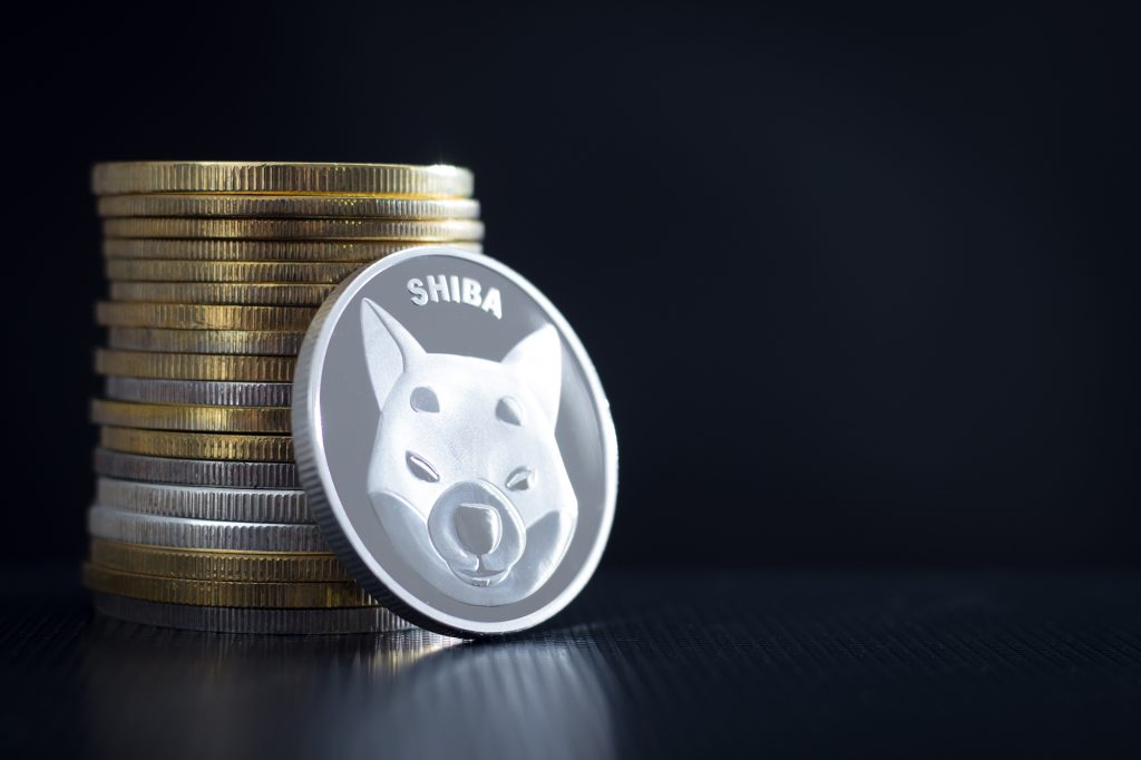 Shiba Inu-Wetten: Kann der “Dogecoin Killer” gewinnen?